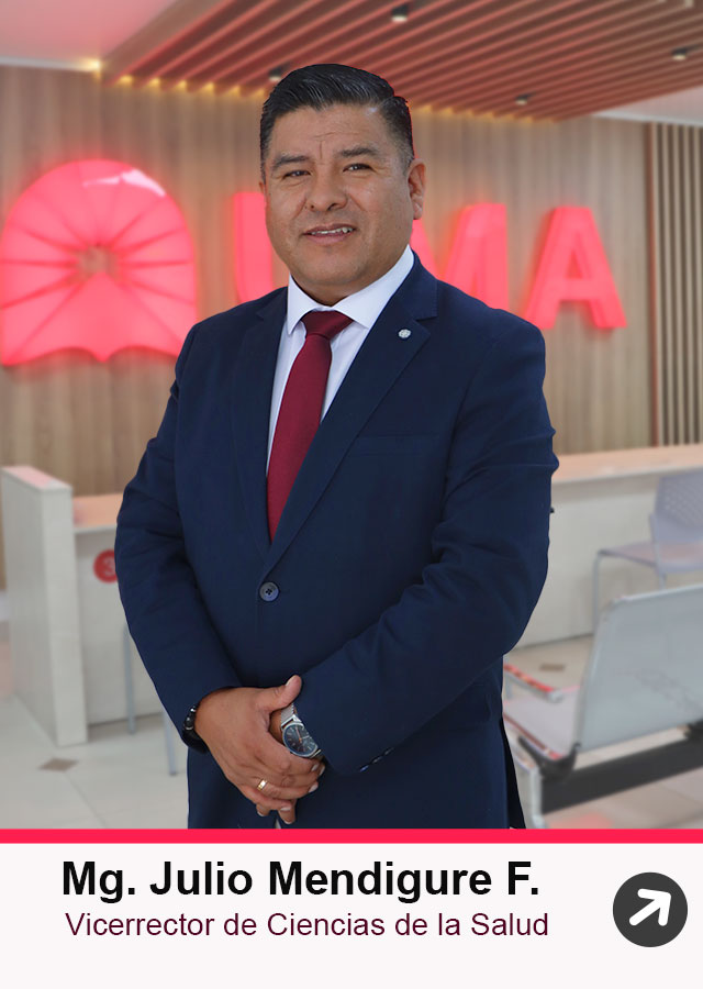 Mg. Julio Mendigure Fernández